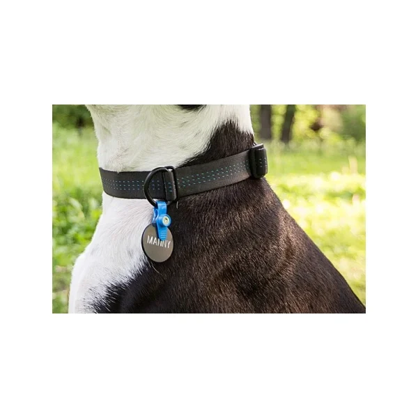 Porte-Médaille Silencieux (FreezeTag Holder) Distributeur Officiel 4